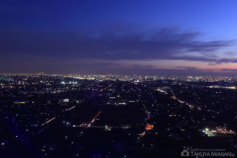 138タワーパークの夜景スポット写真（2）