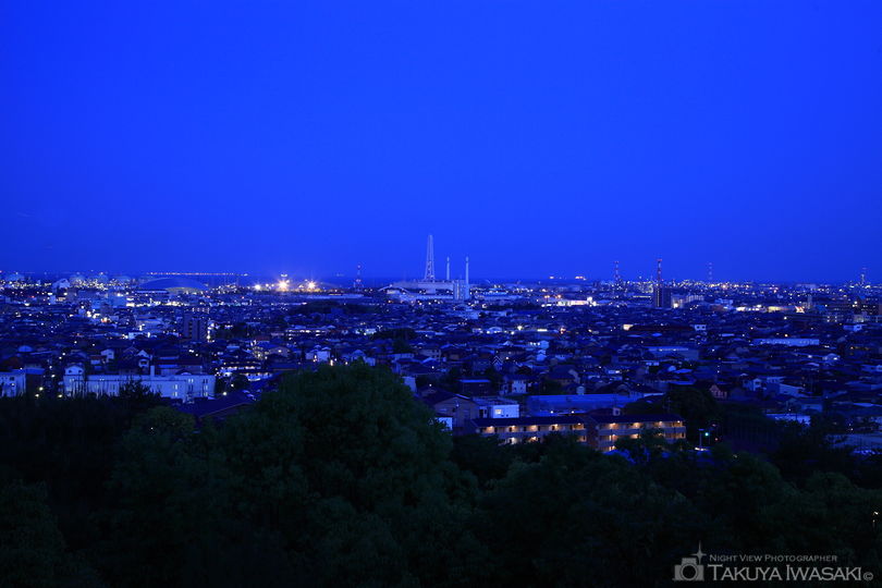 垂坂公園・羽津山緑地の夜景スポット写真（1）