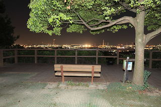 垂坂公園・羽津山緑地の夜景スポット写真（4）class=