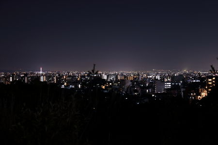 船岡山公園の夜景スポット写真（1）class=