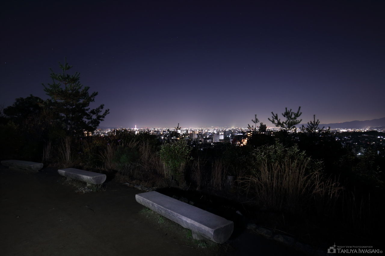 船岡山公園の夜景スポット写真（2）