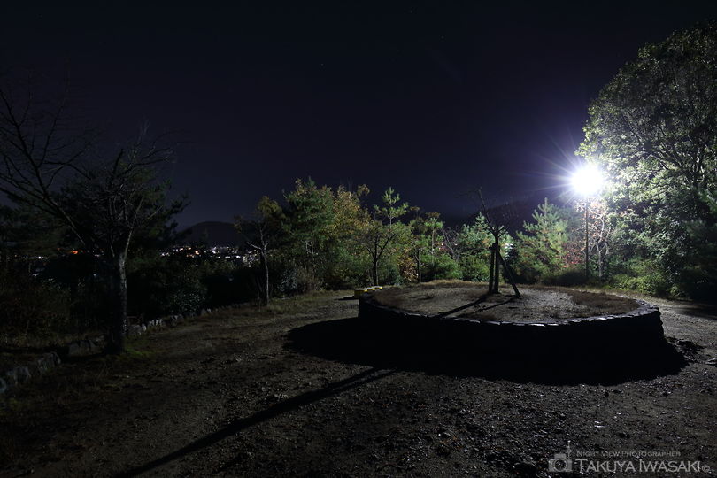 船岡山公園の夜景スポット写真（3）
