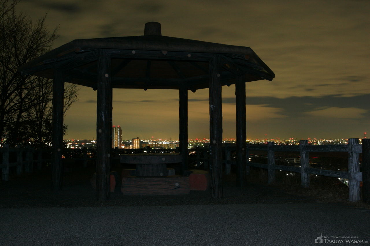 きたじょうどがはら南公園の夜景スポット写真（4）