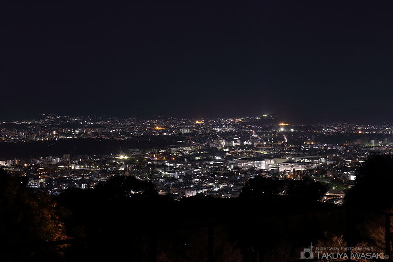 将軍塚青龍殿　西展望台の夜景スポット写真（3）