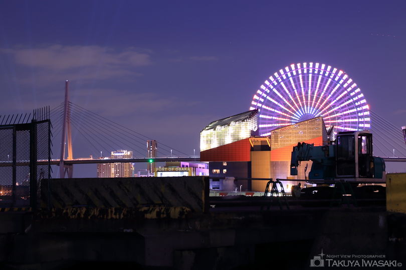 大阪港中央突堤臨港緑地の夜景スポット写真（3）