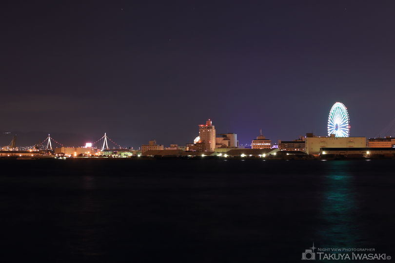港大橋臨港緑地の夜景スポット写真（2）
