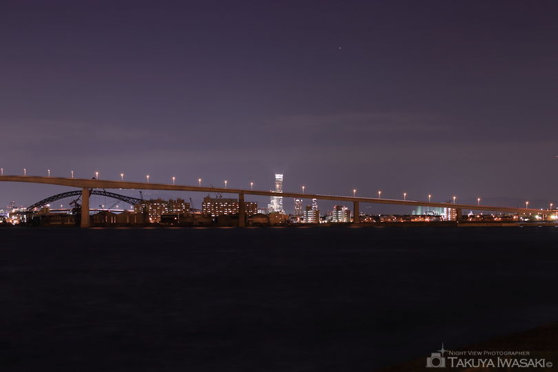 港大橋臨港緑地の夜景スポット写真（3）