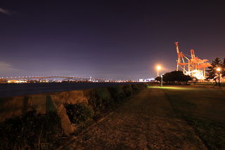 港大橋臨港緑地の夜景スポット写真（5）class=
