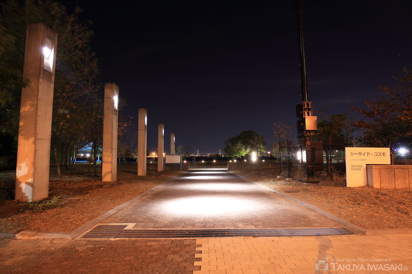 シーサイド・コスモの夜景スポット写真（5）