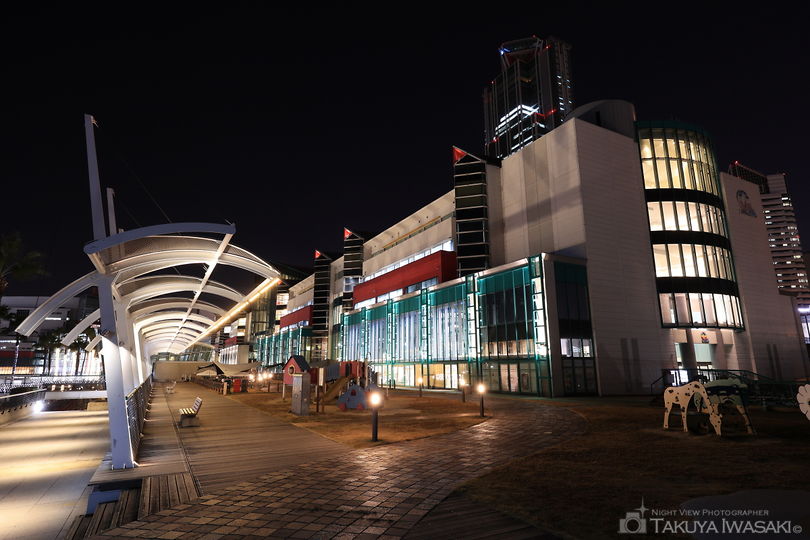ATC ウミエール広場の夜景スポット写真（6）