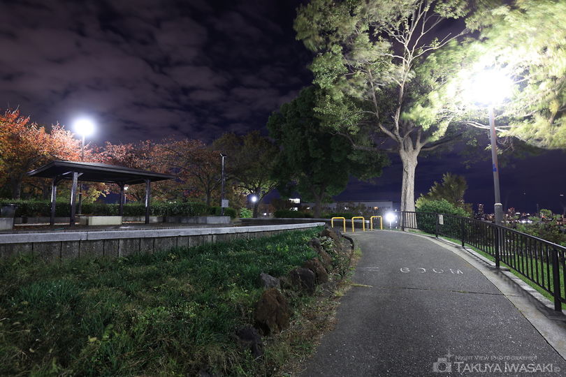昭和山の夜景スポット写真（4）