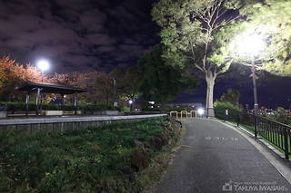 昭和山の夜景スポット写真（4）class=