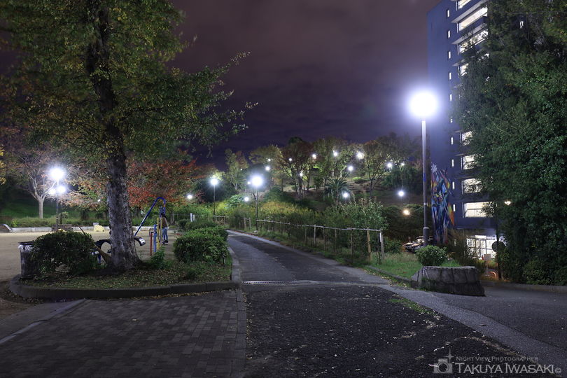 昭和山の夜景スポット写真（6）