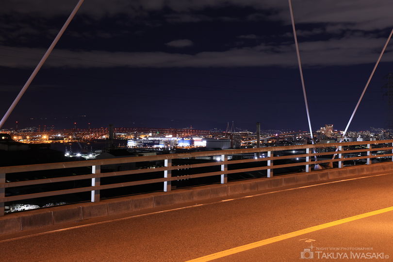 新木津川大橋の夜景スポット写真（5）