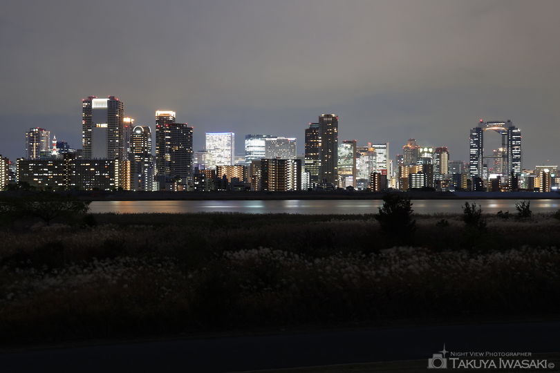淀川河川公園の夜景スポット写真（1）