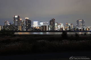 淀川河川公園の夜景スポット写真（1）class=