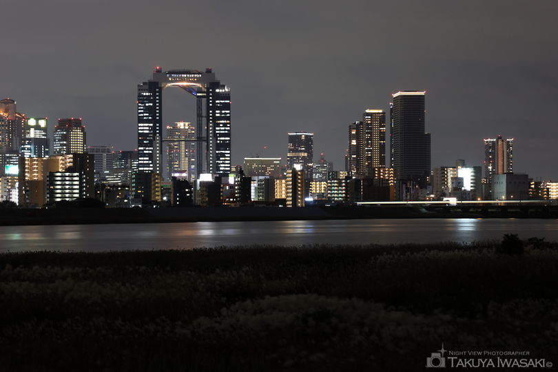 淀川河川公園の夜景スポット写真（2）