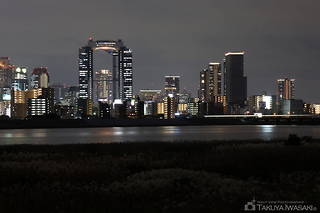 淀川河川公園の夜景スポット写真（2）class=
