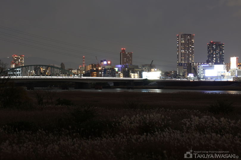 淀川河川公園の夜景スポット写真（3）