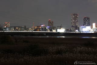 淀川河川公園の夜景スポット写真（3）class=
