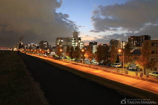淀川河川公園の夜景スポット写真（4）class=