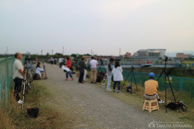 千里川土手の夜景スポット写真（6）