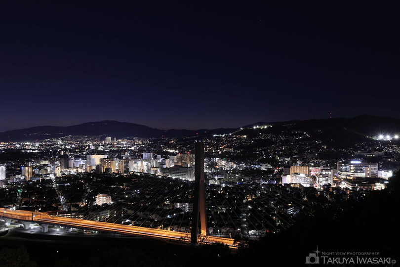 五月山 秀望台の夜景スポット写真（2）