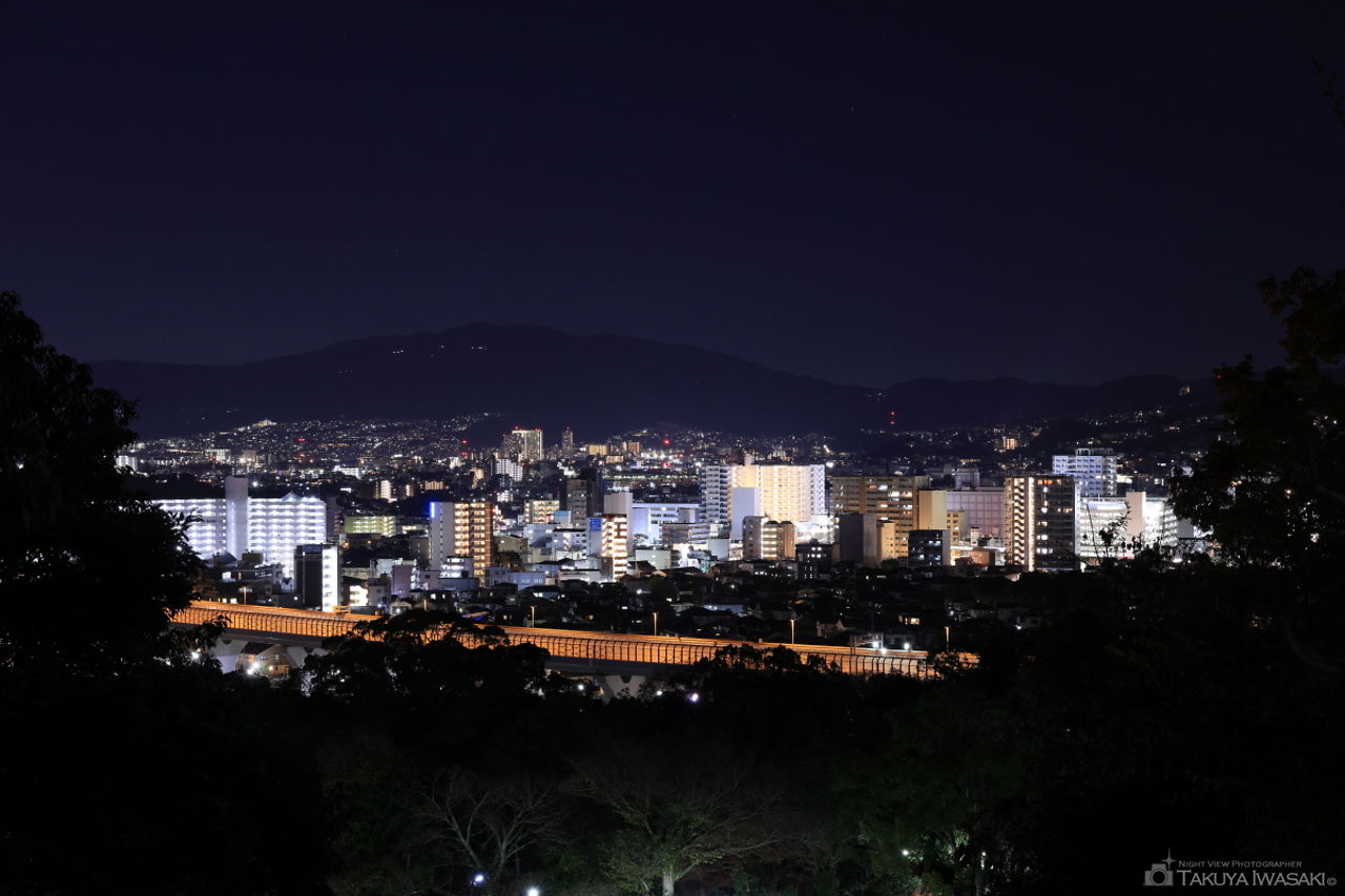 五月山 一望台の夜景スポット写真（1）