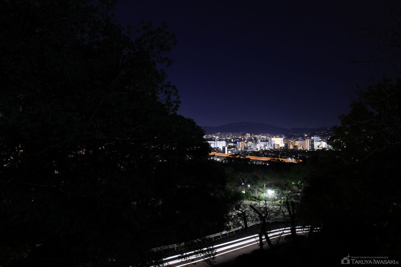 五月山 一望台の夜景スポット写真（2）