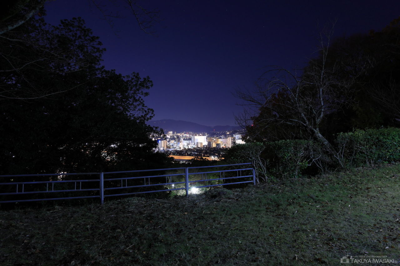 五月山 一望台の夜景スポット写真（3）