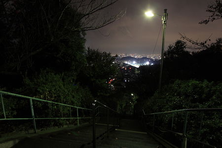 東側の階段と夜景