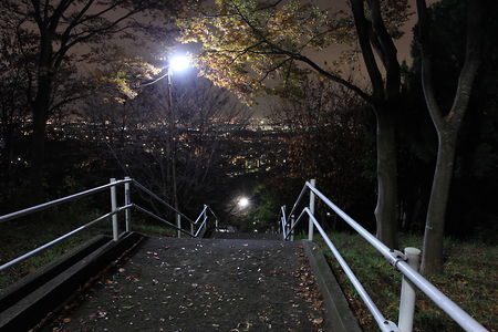 西側の階段からの夜景