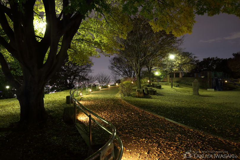 東石切公園の夜景スポット写真（4）
