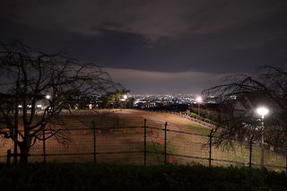 重願寺前の道路から大阪平野の夜景を望む