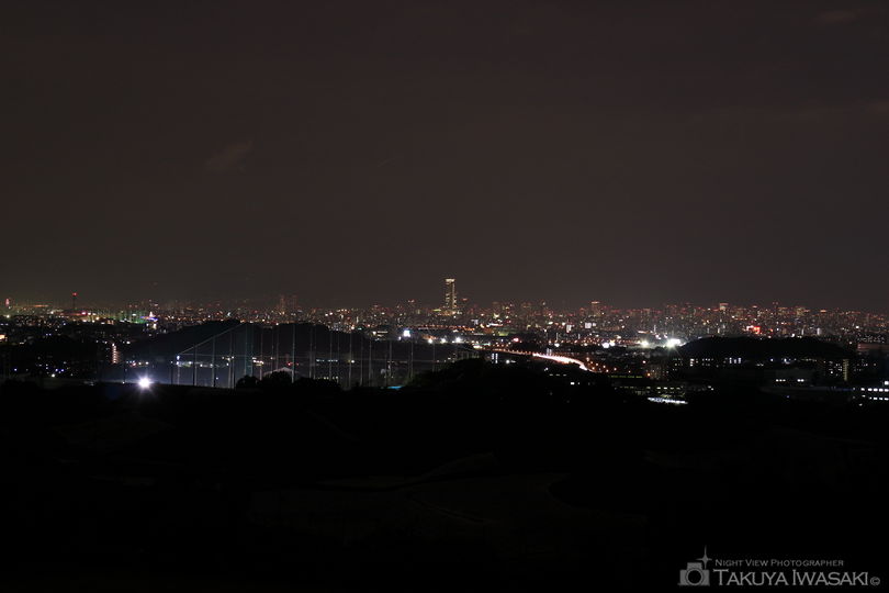 南河内グリーンロード展望台の夜景スポット写真（1）