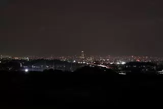 南河内グリーンロード展望台の夜景