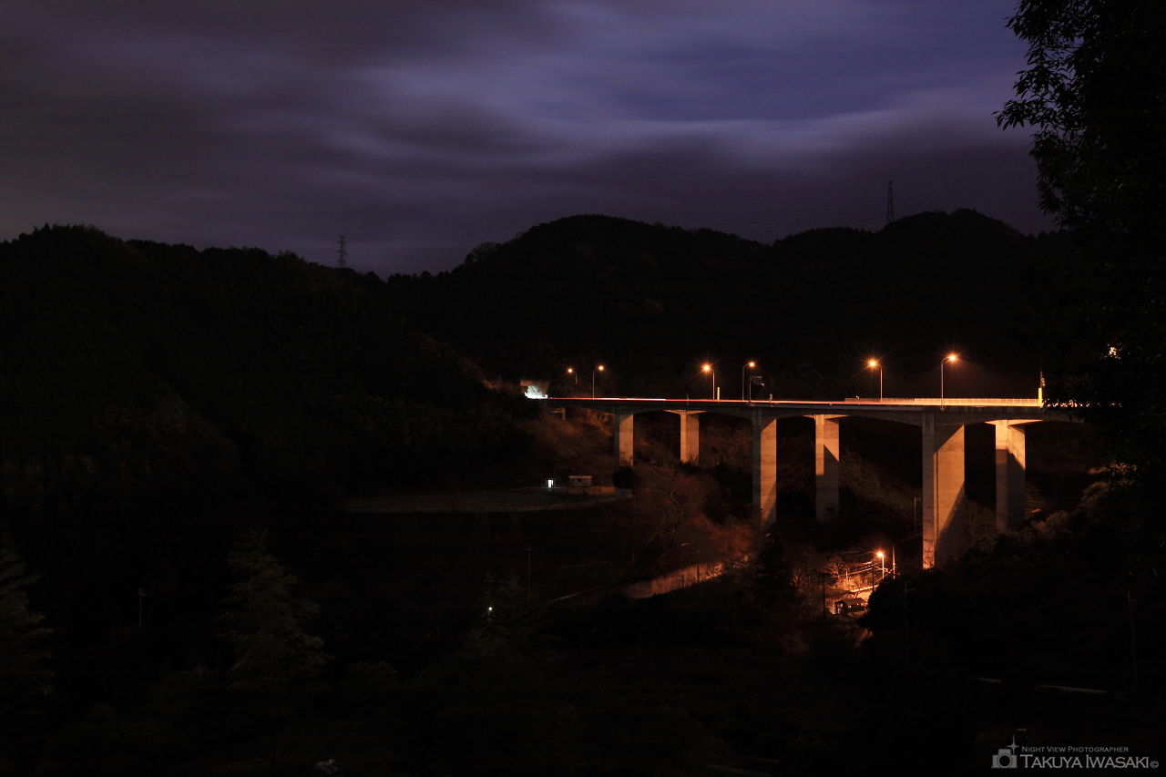 岸和田SA（上り）の夜景スポット写真（2）