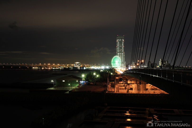 田尻スカイブリッジの夜景スポット写真（1）