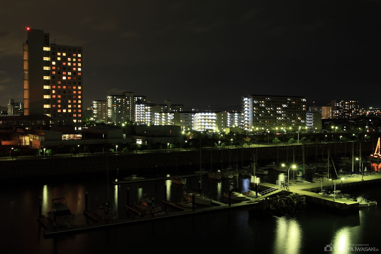 田尻スカイブリッジの夜景スポット写真（3）