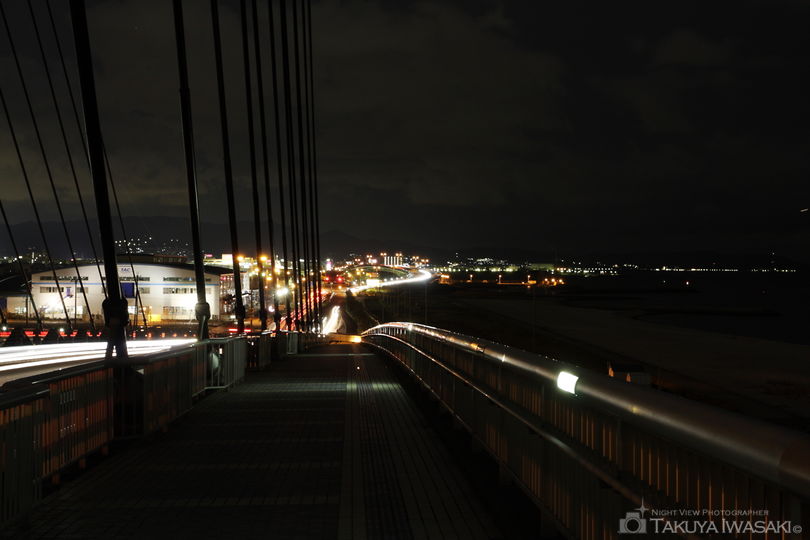 田尻スカイブリッジの夜景スポット写真（5）