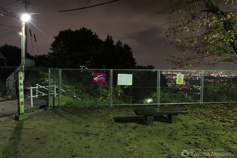 大和西公園の夜景スポット写真（3）