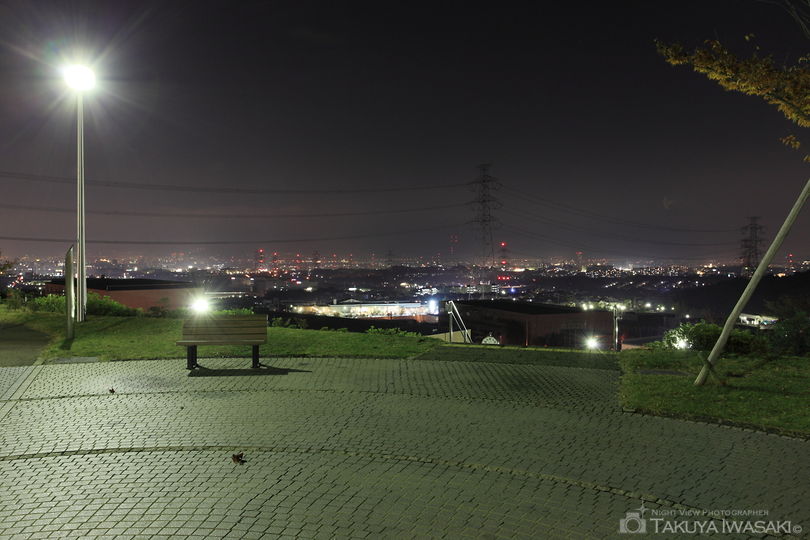 空見の丘公園の夜景スポット写真（4）
