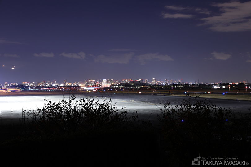 下河原緑地の夜景スポット写真（1）