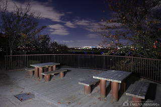 下河原緑地の夜景スポット写真（4）class=