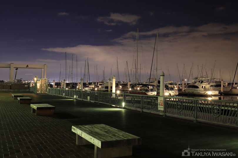 新西宮ヨットハーバーの夜景スポット写真（2）