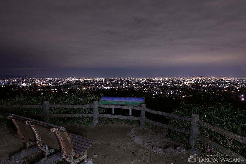 甲山森林公園の夜景スポット写真（4）