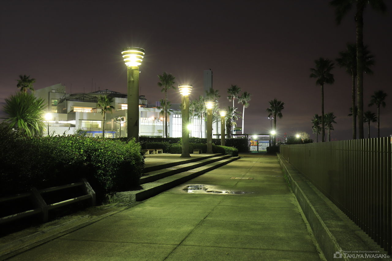 鳴尾浜臨海公園の夜景スポット写真（3）