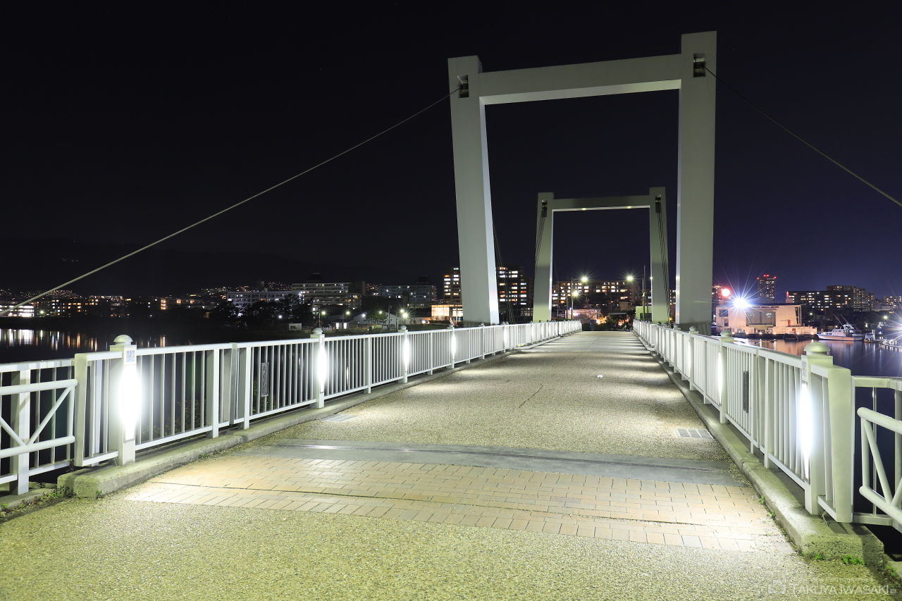 御前浜橋の夜景スポット写真（4）