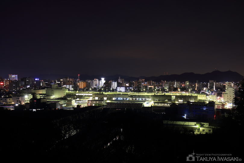 手柄山中央公園の夜景スポット写真（3）