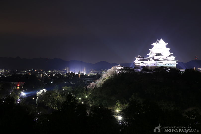 男山配水池公園の夜景スポット写真（3）